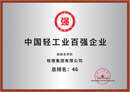 中國輕工業(yè)百強(qiáng)企業(yè)